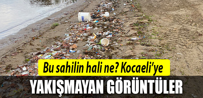 basiskele sahil kocaeli