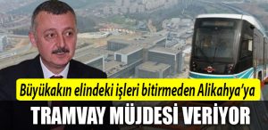 buyukakin