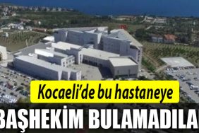 darica farabi bashekimi kim olacak