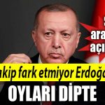 erdogan anket
