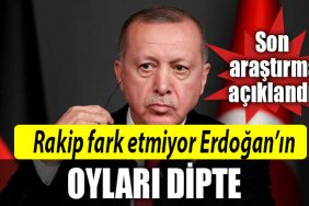 erdogan anket