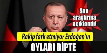 erdogan anket
