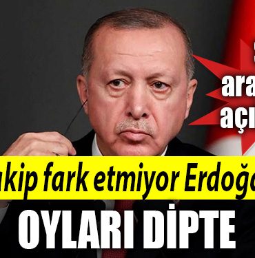 erdogan anket