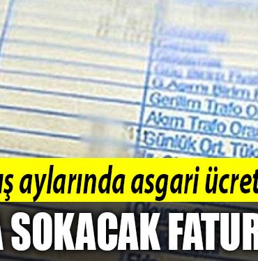 fatura
