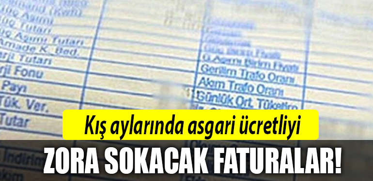 fatura