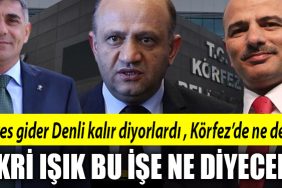fikri isik korfez faruk denli