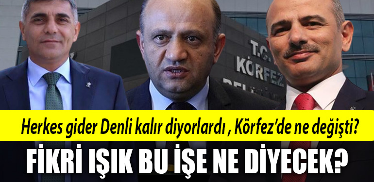 fikri isik korfez faruk denli
