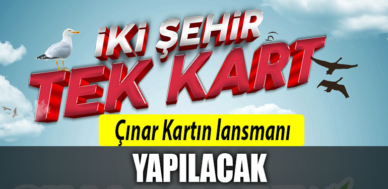 izmit cinar kart