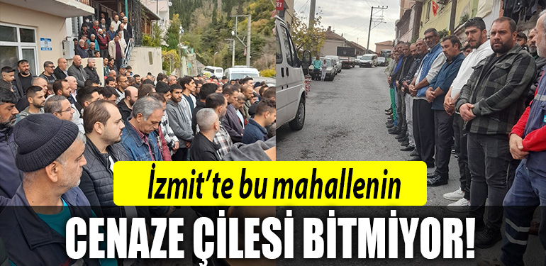 izmit terzibayiri