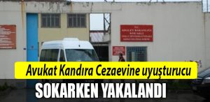 kandira cezaevi kocaeli avukat