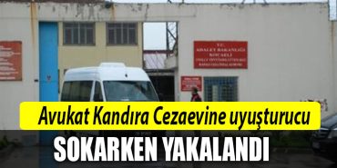 kandira cezaevi kocaeli avukat