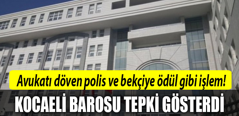 kocaeli barosu