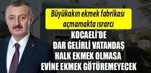 kocaeli buuyksehir ekmek fabrikasi