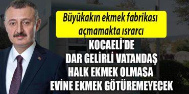 kocaeli buuyksehir ekmek fabrikasi