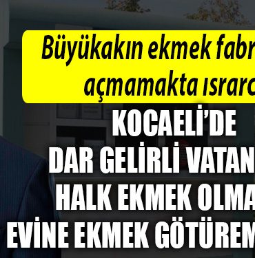 kocaeli buuyksehir ekmek fabrikasi