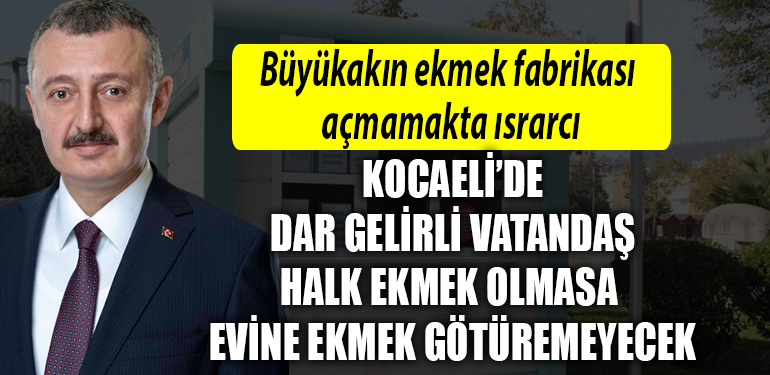kocaeli buuyksehir ekmek fabrikasi
