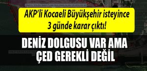 kocaeli buyuksehir ced