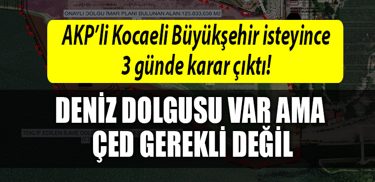 kocaeli buyuksehir ced