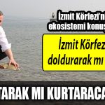 kocaeli buyuksehir izmit korfezi
