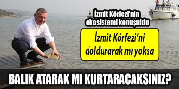 kocaeli buyuksehir izmit korfezi