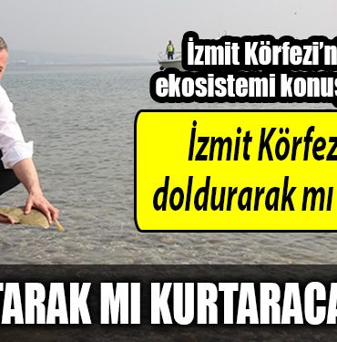 kocaeli buyuksehir izmit korfezi
