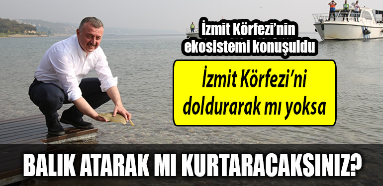 kocaeli buyuksehir izmit korfezi
