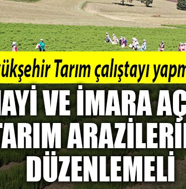 kocaeli buyuksehir tarim calistayi