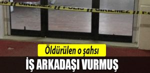 kocaeli cinayet 2