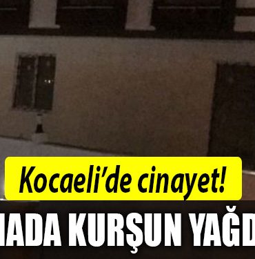 kocaeli cinayet