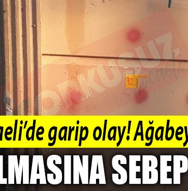kocaeli kavga