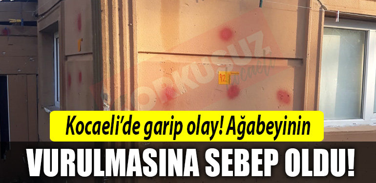 kocaeli kavga