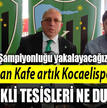 kocaelspor engin koyun