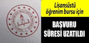 lisans