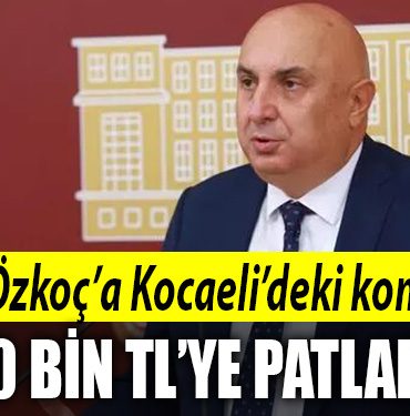 ozkoc tazmina kocael