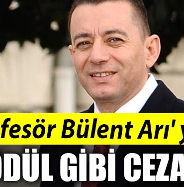 profesor bulent ari ya odul gibi ceza