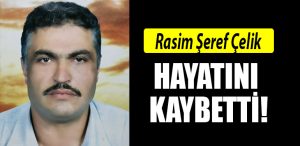 rasim seref celik