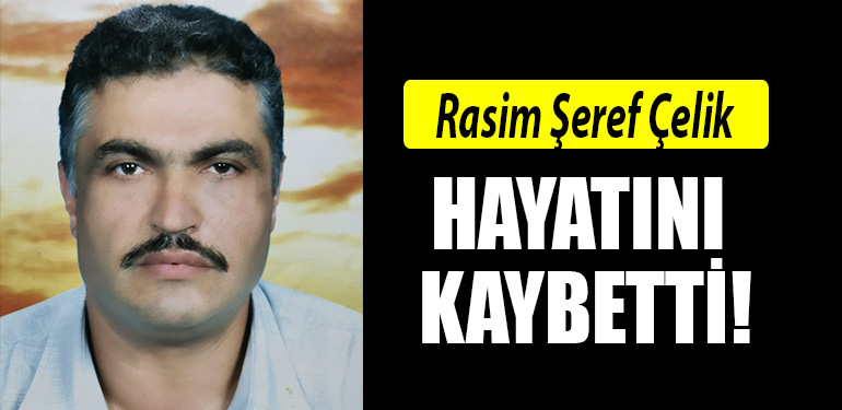 rasim seref celik