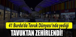 tavuk dunyasi