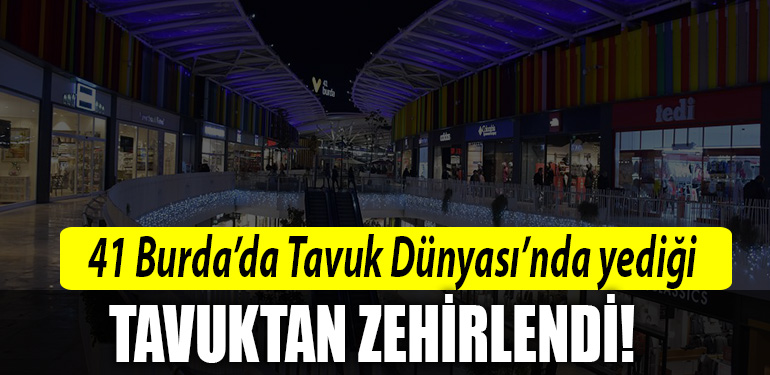 tavuk dunyasi