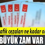 trafik ceza