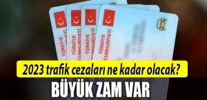 trafik ceza