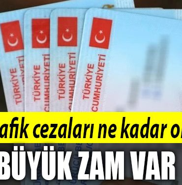 trafik ceza