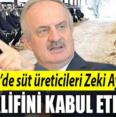 zeki aygun
