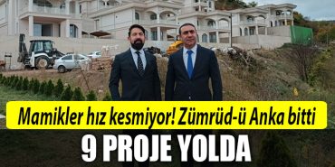 zumrudu anka mamikler