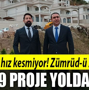 zumrudu anka mamikler