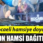 HAMSI