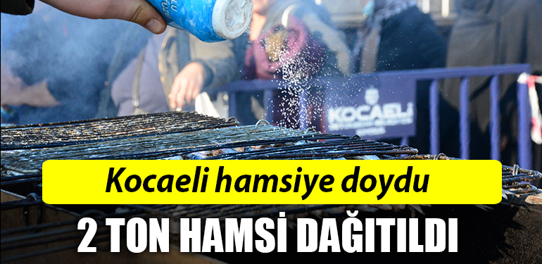 HAMSI