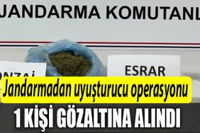 KOCAELI JANDARMA OPERASYONU 1 KISI GOZALTINDA