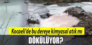 KOCAELI kimyasal 1