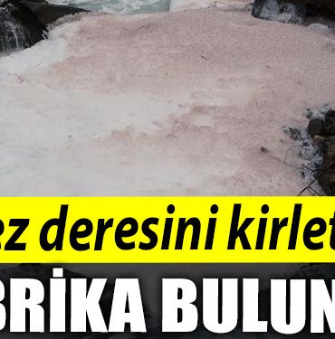 Kocaeli deki Kilez deresini kirleten fabrika bulundu